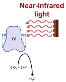 near infrared light on complex four